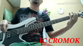 #CromokLovers#CROMOK#BassCover#IC#