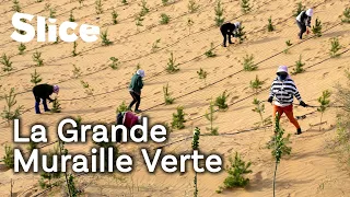 Les Dompteurs de sables du désert de Gobi | SLICE