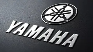 КОНСЕРВАЦИЯ ЛОДОЧНОГО МОТОРА "YAMAHA 30" на зиму."THAT outboard motor "Yamaha 30". Preservation"