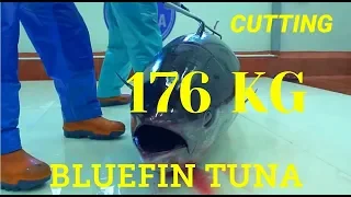 Разделка 176 кг Голубого Тунца - Морепродукты Испания.