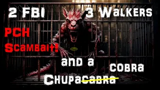 ChupaCobra!! 2 FBI agents 1 Chupacabra and the Walkers Crazy PCH scambait call with 2 scammers