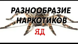 ВСЕ ВИДЫ НАРКОТИКОВ  |  АПТЕЧНЫЕ НАРКОТИКИ