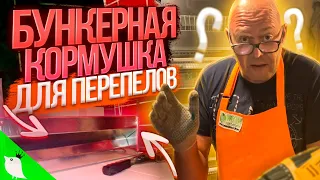 Бункерная кормушка для перепелов. DIY - Сделай сам. Перепела для начинающих