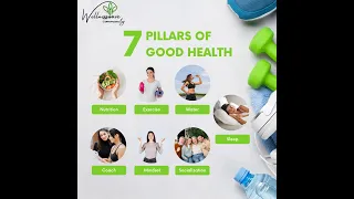 Seven Pillars of Good Health  A Quick Guide