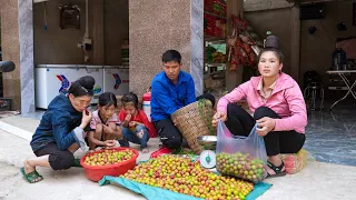 Harvest Ripe Red Plum Garden, Bring It to the Market to Sell, Buy Seeds to Plant | Family Farm