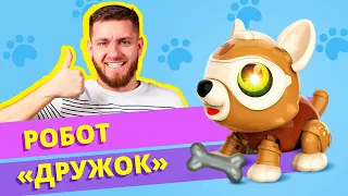 СОБАКА - РОБОТ! КРУТЕЙШИЙ электронный конструктор!!!