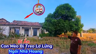 Ớn lạnh ngôi nhà hoang ghê rợn bắt gặp con mèo bị cheo cổ lơ lửng