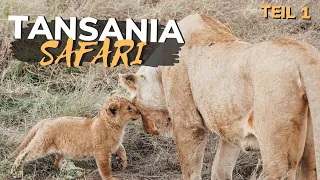 SAFARI in Tansania 2020 (Corona Zeit) im Serengeti und Tarangire Nationalpark | deutsch | TEIL 1