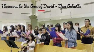 Hosanna to the Son of David - Dan Schutte