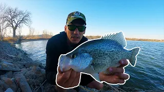 How to Fish For Big Colorado Crappie and Walleye From Shore in the Early Spring Season!