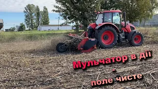 Мульчуємо рештки після соняшника