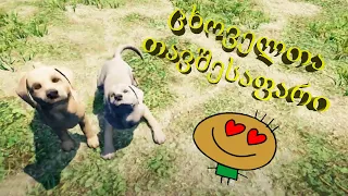 Animal Shelter (Gameplay by ShotaVlogger)