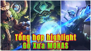 Tổng Hợp Highlight Gỗ Xưa MOHAS | Những Pha Thiên Nhiên Vỗ Về 5 Thành viên Của Y’bneth Liên Quân