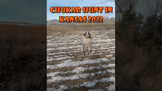 Chukar Hunt in Kansas 2022