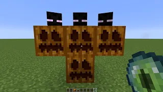 what if you create a GOLEM ENDERMAN in MINECRAFT