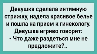 Девушка с Интимной Стрижкой, Пришла к Гинекологу! Сборник Свежих Смешных Жизненных Анекдотов!