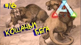 Ark survival evolved - HARDCORE v2.0 (Кошачьи бега) #16