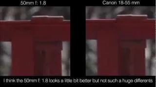 Canon 50mm 1.8 vs 18-55mm