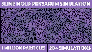 Slime Mold Physarum Simulation - C++ & Compute Shaders