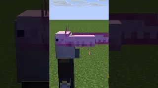 Axoltol VS Illager 2 😂 {Minecraft Animation}