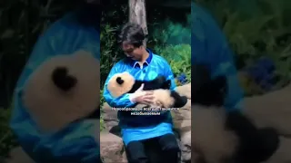 ✅Dimash & panda 🥰 Димаш и Панда - мимимишное видео #dimashkudaibergen #dimash #димаш