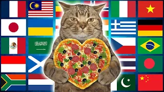 Cat in 70 Languages Meme