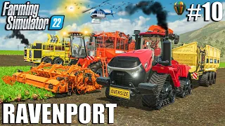 FIRST BIG RED BEETS HARVEST | Ravenport | Episode #10 | Farming Simulator 22