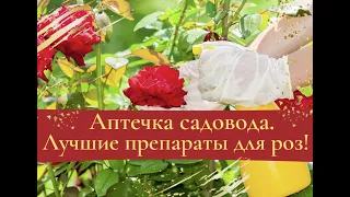 Аптечка садовода. Лучшие препараты для защиты роз!