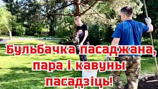 БЕЛАРУСЬ. НА НЕТИПИЧНОМ ХУТОРЕ ПОСЕВНАЯ В ПОЛНОМ РАЗГАРЕ! БУЛЬБА В ЗЕМЛЕ, ПРИШЛА ПОРА АРБУЗА!