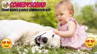 Funny Dogs and Babies Playing Together-Funny Babies & Dogs Compilation #12