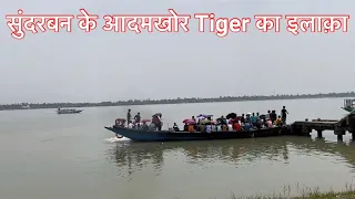 Sunderban Man eater Tiger Territory Stay | Sundarban Documentary | Sundarban Safari #tigerattack