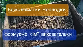 Неплідні Бджоломатки Формуємо Сімї Виховательки. Матковивідна Пасіка АМГ