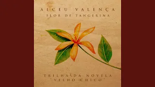 Flor de Tangerina