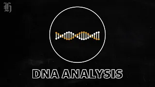 How does DNA analysis work?