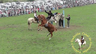 Jineteada en bastos 9 de julio El Relincho La Paz 2023  #caballos #jinete #charreada #jaripeo #