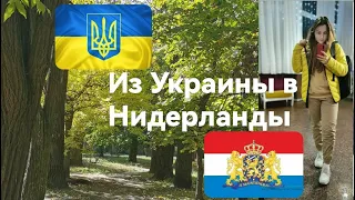 Из Украины в Нидерланды Как жить по новому в новой чужой стране Война в Украине