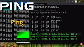 Ping and Tracert networking commands  (traceroute)