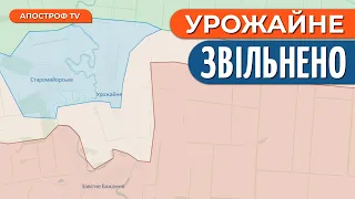 ЗСУ звільнили Урожайне, – Маляр