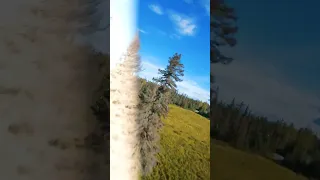 DRONE FAIL                     ND Filter falls off GoPro mid-flight!