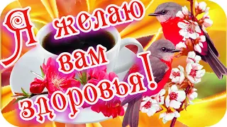 Доброе утро! ❤️Я желаю вам здоровья! ❤️Любите и будьте любимы!❤️Good morning!❤️