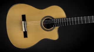 "Clown" (Emeli Sandé Guitar Cover) played on a Córdoba Fusion 12 Maple