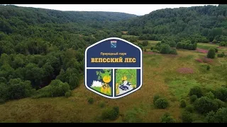 Природный парк «Вепсский лес»