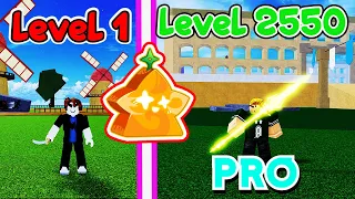 Noob To Pro BUT, As A Light User in Blox Fruits!