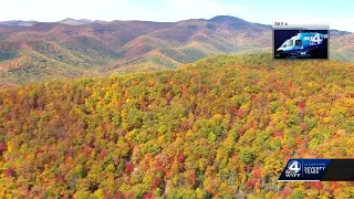 Fall foliage along Blue Ridge Parkway in North Carolina