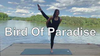 Bird Of Paradise | Tutorial | Yoga Flow With Kim