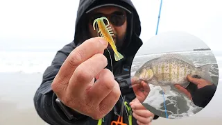 Better than the Zman Crusteaz for Surf Perch?