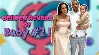 Gender Reveal of Baby # 2!! | He or She What is Baby B?! | YELLOOBERRY l