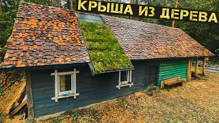 We made a lawn on the roof. The most unusual roof