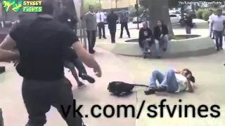 Street Fight Vines #8