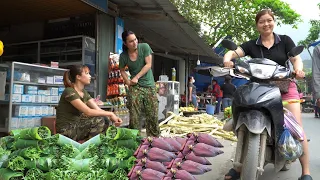 With my girlfriend, I picked wild vegetables and brought them to the market to sell, FULL VIDEO